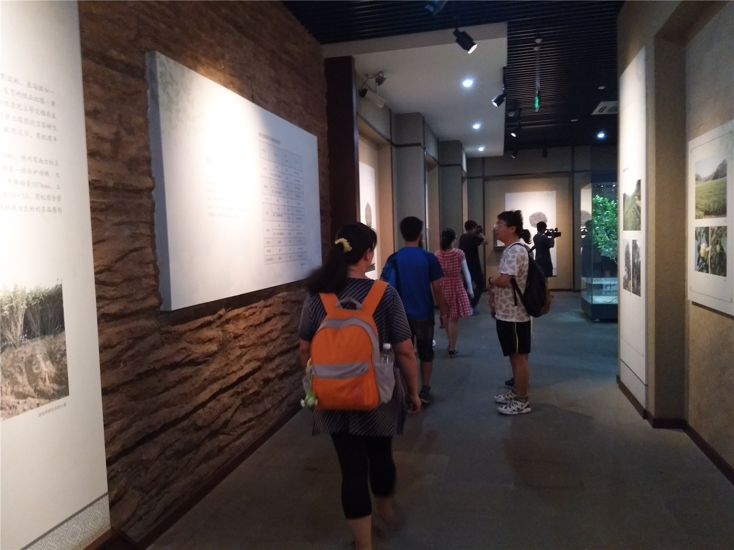 微信图片_20170727140558.jpg